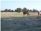 Lot 577 Burston Road, Glencoe SA 5291