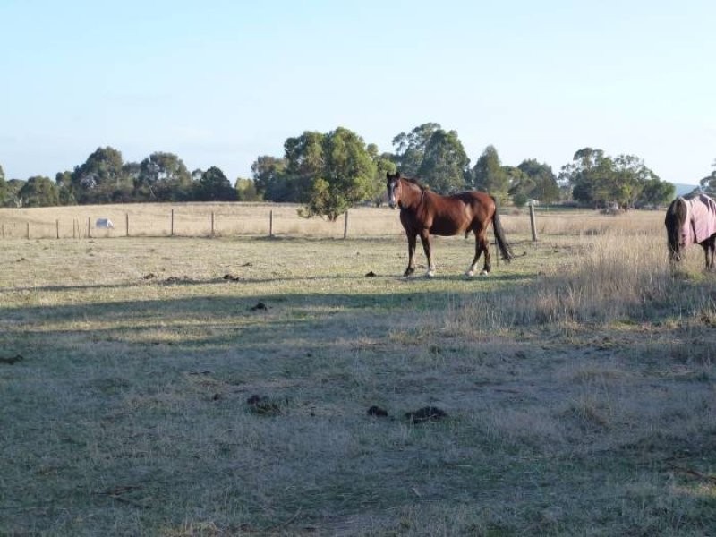 Lot 577 Burston Road, Glencoe SA 5291