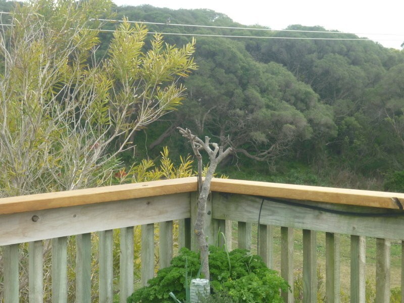 Lot 8 Corner Sturt and Union Street, Nelson VIC 3292