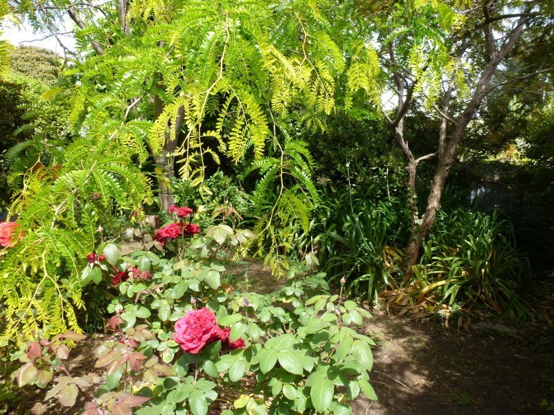 8 Tallara Ave, Mount Gambier SA 5290