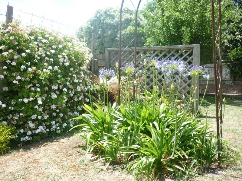 35 Boandik Tce, Mount Gambier SA 5290