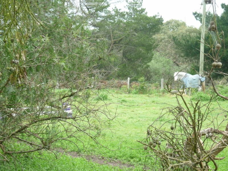 Lot 5 & 6 Stewart Lane, Casterton VIC 3311