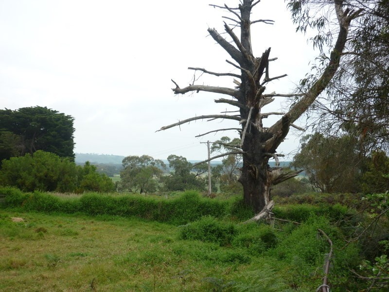 12-20 Stewart Lane, Casterton VIC 3311