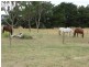 72 Burston Road, Glencoe SA 5291