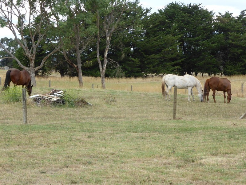 72 Burston Road, Glencoe SA 5291