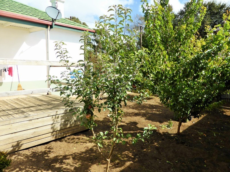 274 Commercial Street West, Mount Gambier SA 5290