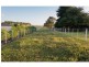 Lot 51 Cafpirco Road, Mount Gambier SA 5290