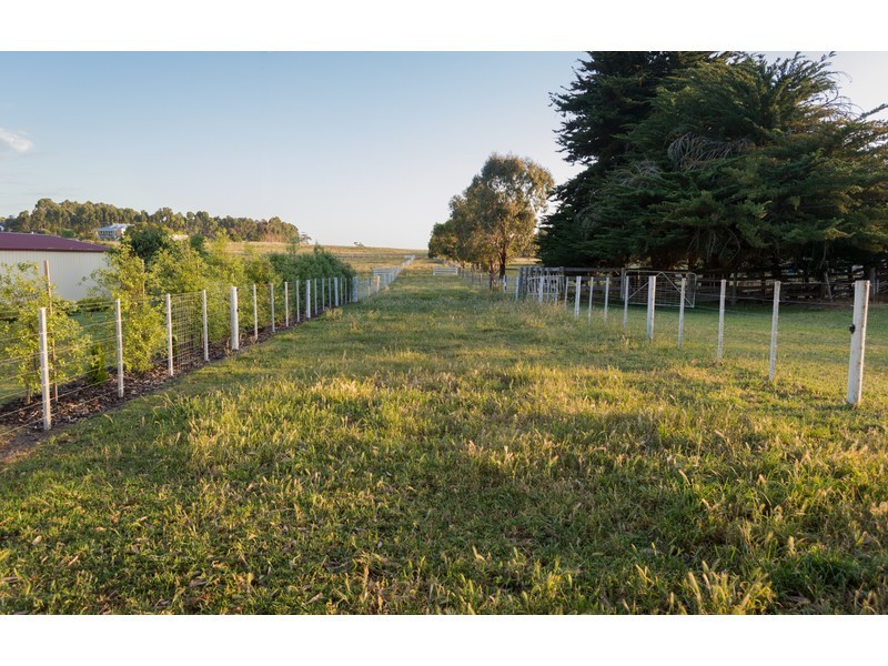 Lot 51 Cafpirco Road, Mount Gambier SA 5290