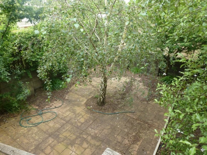 Unit 3/119 Wehl Street, Mount Gambier SA 5290