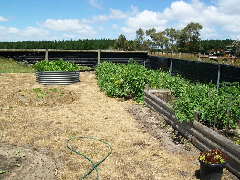 11 Marshall Road, Glencoe SA 5291