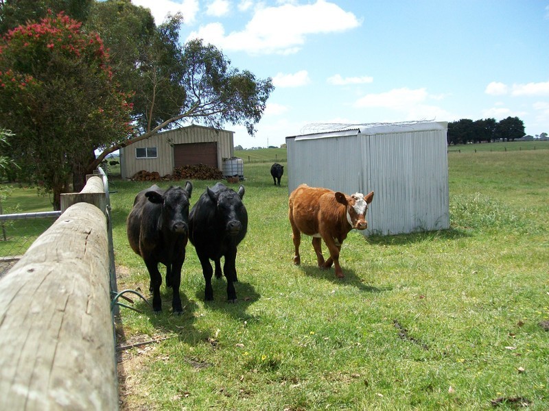 11 Marshall Road, Glencoe SA 5291