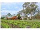 6-8 South Terrace, Penola SA 5277