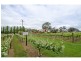6-8 South Terrace, Penola SA 5277