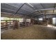 291 Poonada Road, Tantanoola SA 5280