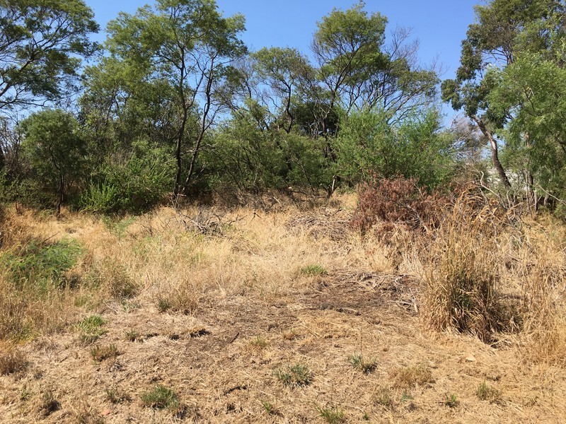 Lot 419,  Cafpirco Road, Mount Gambier SA 5290