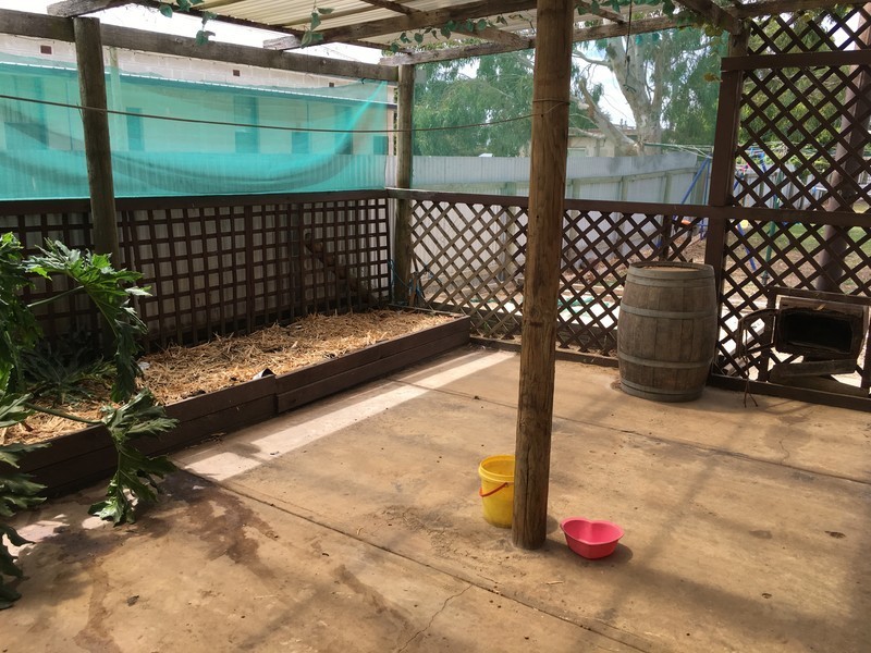 12 John Street, Kalangadoo SA 5278