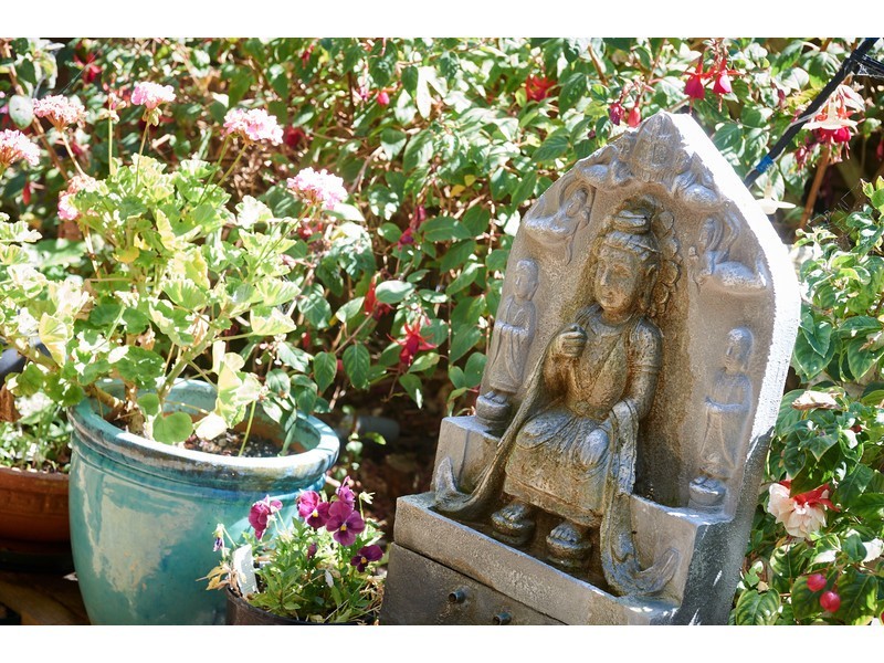 1 Duffield Place, Mount Gambier SA 5290