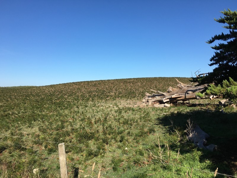 Lot 102,  Worrolong Road, Worrolong SA 5291