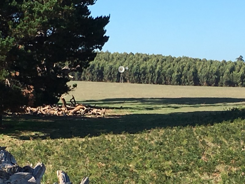 Lot 102,  Worrolong Road, Worrolong SA 5291