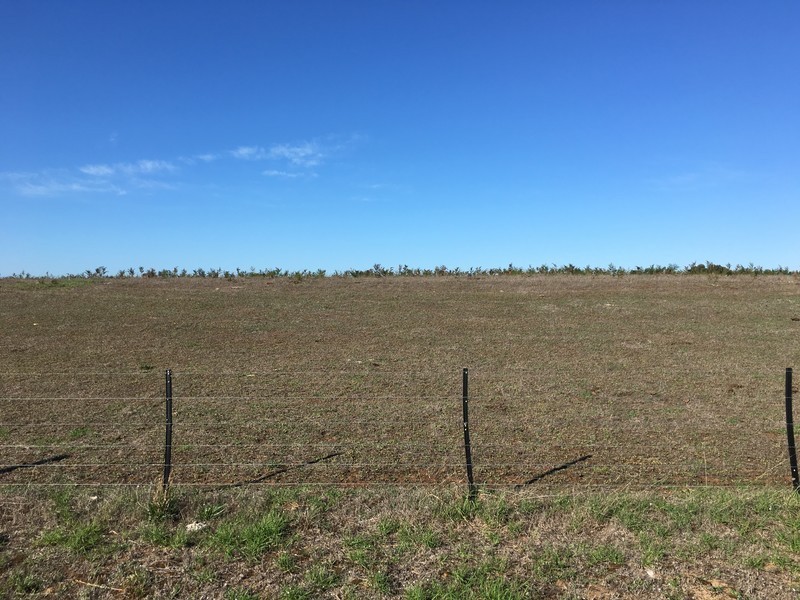 Lot 107,  Worrolong Road, Worrolong SA 5291