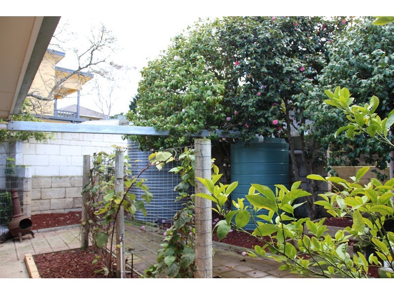 55 Banksia Street, Mount Gambier SA 5290