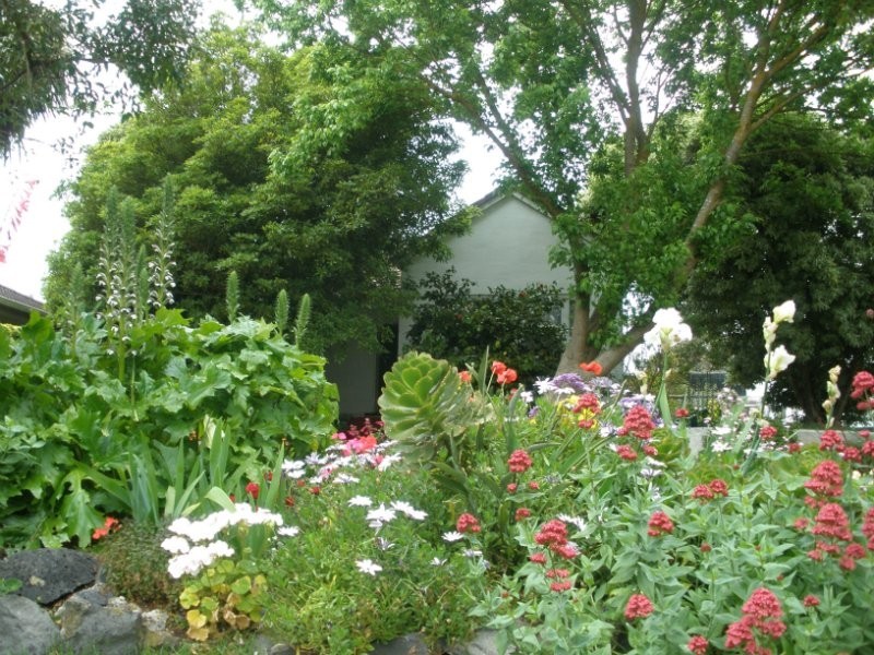 15 Victor Street, Mount Gambier SA 5290