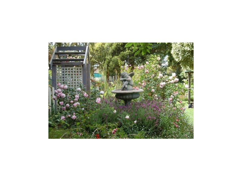 7 Draper Street, Tarpeena SA 5277