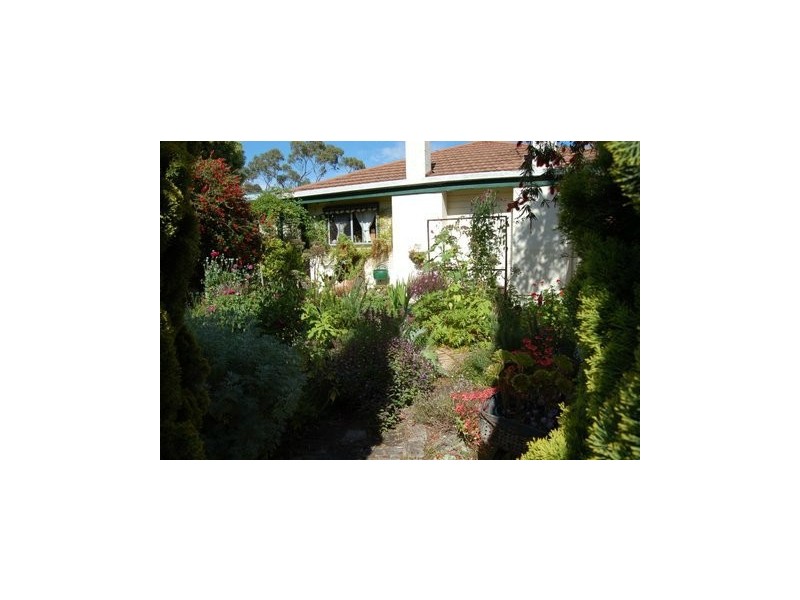 7 Draper Street, Tarpeena SA 5277