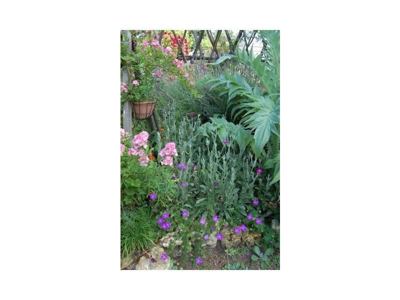 7 Draper Street, Tarpeena SA 5277