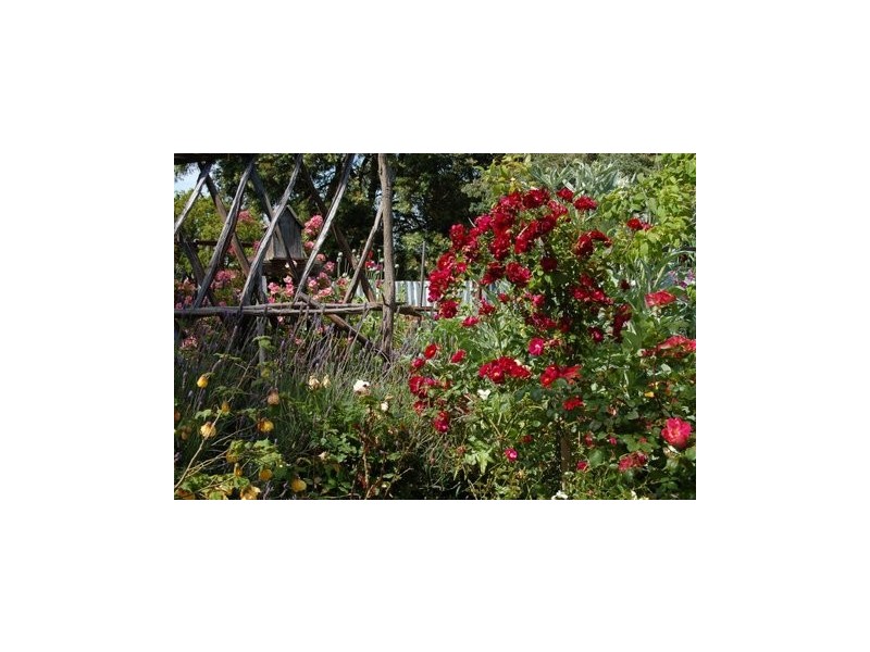 7 Draper Street, Tarpeena SA 5277