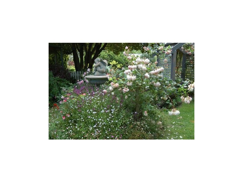 7 Draper Street, Tarpeena SA 5277