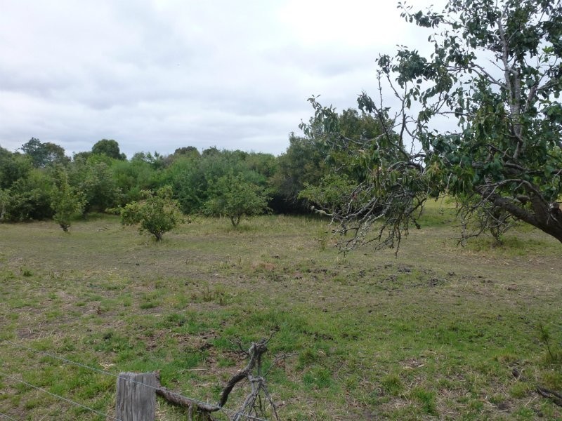 50 Wilson Lane, Glencoe SA 5291