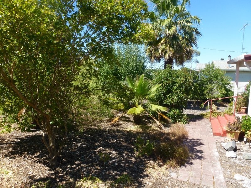 24 Laffer Street, Nangwarry SA 5277