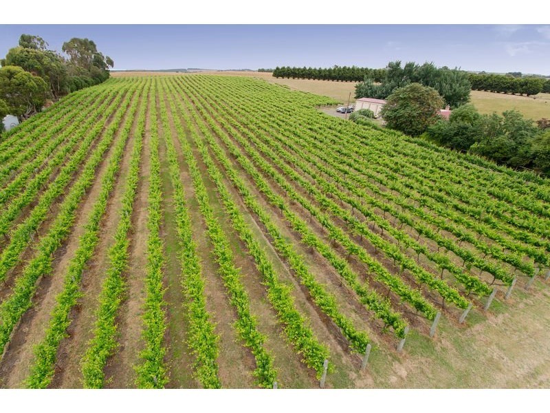 192 Square Mile Road, Mount Gambier SA 5290