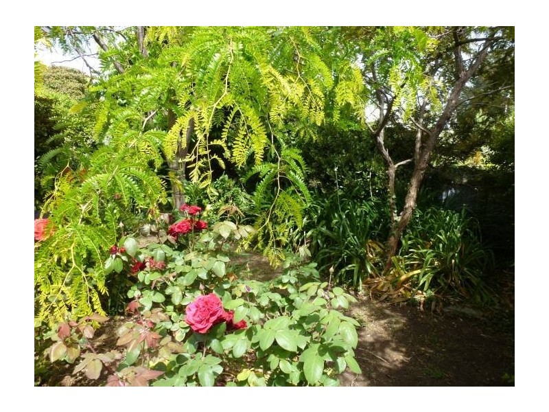 8 Tallara Ave, Mount Gambier SA 5290