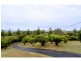 39 Oldbridge Road, Nelson VIC 3292