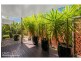 4 Conestoga Way, Upper Coomera QLD 4209