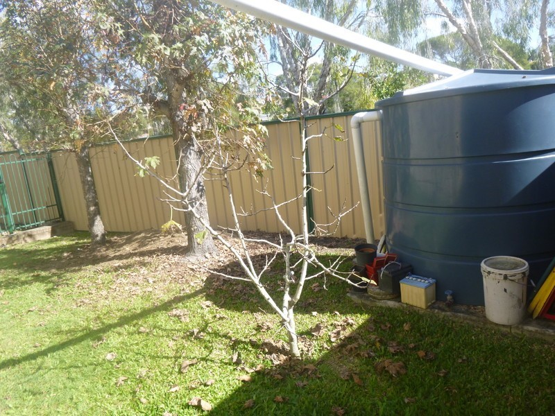 31 Laurel Oak Drive, Algester QLD 4115