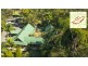 54 Jacaranda Avenue, Boronia Heights QLD 4124