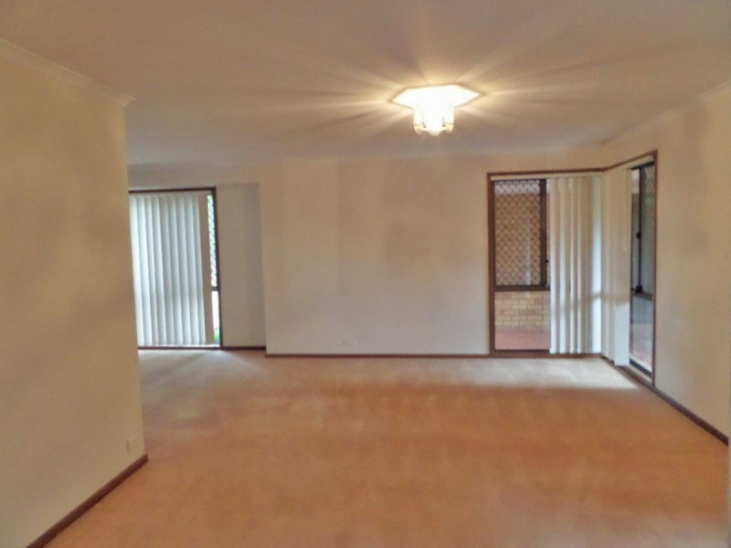 19 Romeo Court, Sunnybank Hills QLD 4109