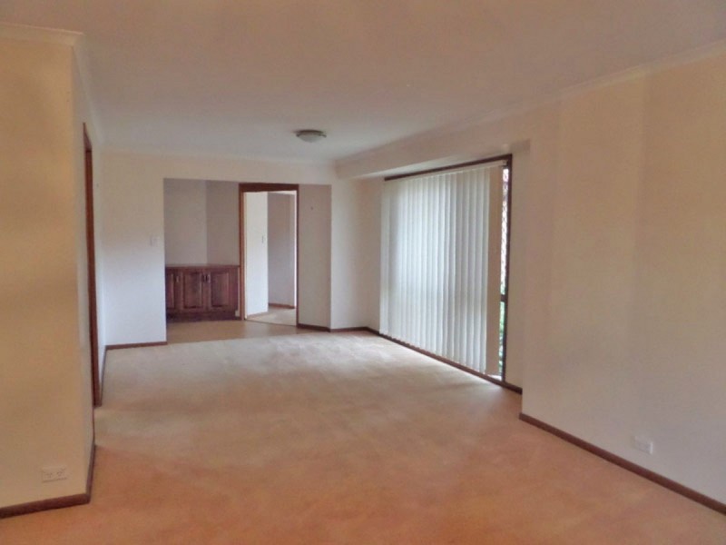 19 Romeo Court, Sunnybank Hills QLD 4109