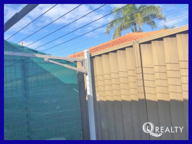 50 Cupania Street, Algester QLD 4115