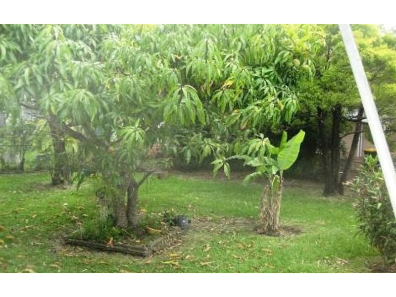 56 Alpita Street, Kuraby QLD 4112