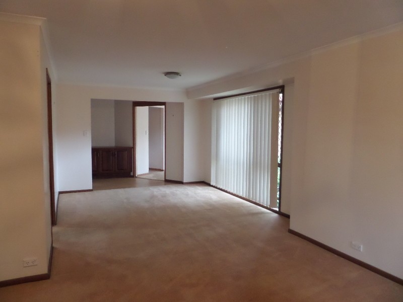 19 ROMEO Court, Sunnybank Hills QLD 4109