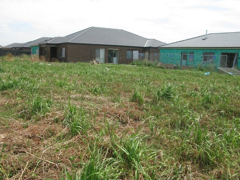 41 Datura Avenue, Cranbourne North VIC 3977