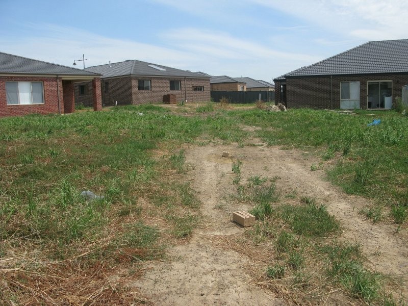 41 Datura Avenue, Cranbourne North VIC 3977