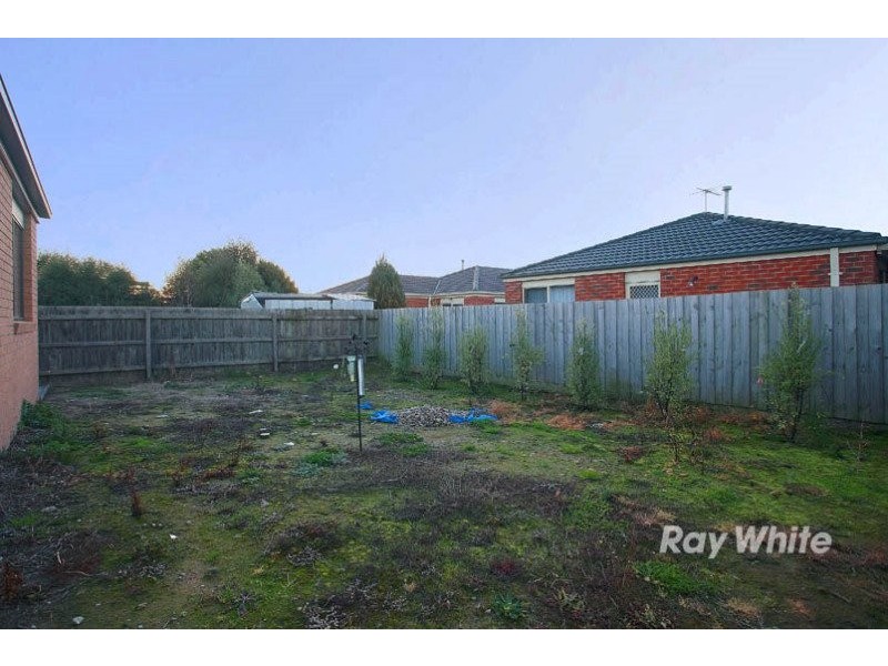 5 Bellbrae Crescent, Cranbourne VIC 3977
