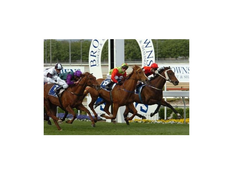 Lot  202 Austral Bugle Lane, Cranbourne VIC 3977