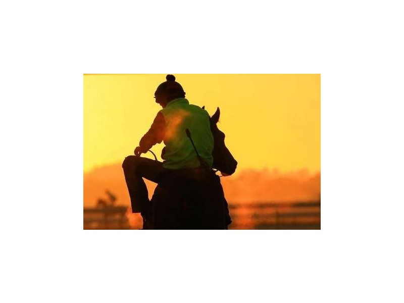 Lot  202 Austral Bugle Lane, Cranbourne VIC 3977