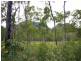 Yeppoon QLD 4703